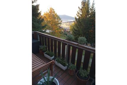 2ZKB, Balkon, Stellplatz, ruhig, traumhafte Lage, Waldrand - Rimbach