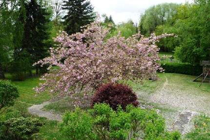 Schöne 2-Zimmerwohnung mit Sonnenterrasse und herrlichem Ausblick in den großen parkähnlichen Garten - Berlin Lankwitz