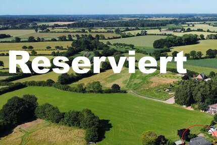 Haus zum Kaufen in Schinkel 419.000,00 € 188 m²