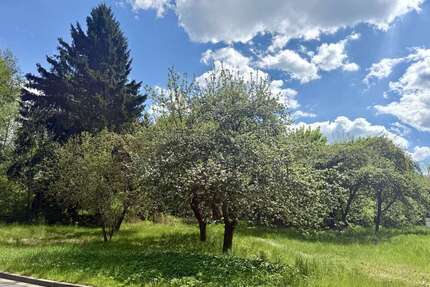 Grundstück zu verkaufen in Bayreuth 295.000,00 € 1292 m²