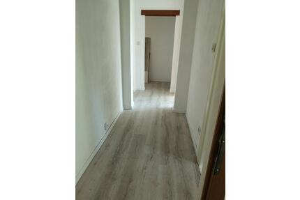 1Raumwohnung mit Garten zwischen Neubrandenburg und Stavenhagen - Rosenow