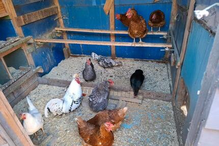 Garten abzugeben - 3.000,00&nbsp;EUR Kaltmiete, ca.&nbsp; 0,00&nbsp;m&sup2; in Rüdesheim (PLZ: 55593)