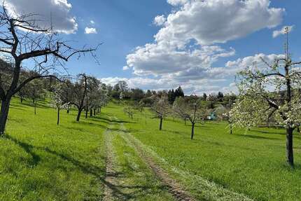 Haus zum Kaufen in Ostelsheim 676.941,00 € 157 m²