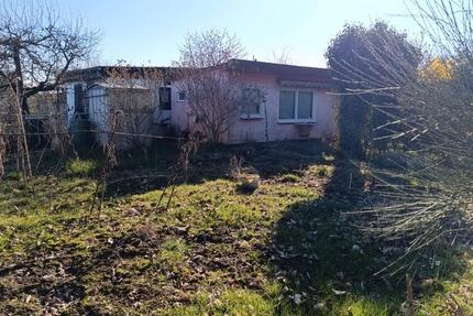 Kleingartenparzelle Gartenstadt KGV Am Waldessaum - Block VI - Lambrechtshagen