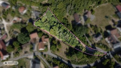 NATUR, RUHE, WERTANLAGE - 35.000,00&nbsp;EUR Kaufpreis, ca.&nbsp; 2.593,00&nbsp;m&sup2; in Etzelwang (PLZ: 92268)