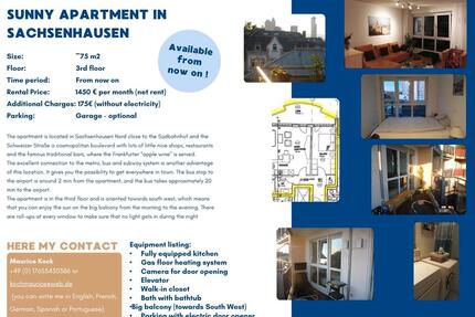 Sonnendurchflutete Wohnungen in Sachsenhausen zu vermieten - Offenbach am Main