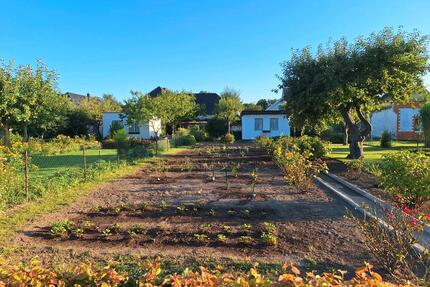 Kleingarten - 1.500,00&nbsp;EUR Kaltmiete, ca.&nbsp; 0,00&nbsp;m&sup2; in Greifswald (PLZ: 17491) Groß Schönwalde