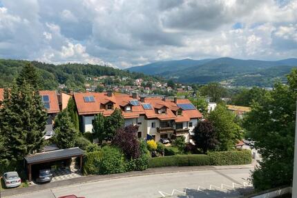 Helle, große und komfortable Zweizimmerwohnung mit luxuriösem Aus - Deggendorf