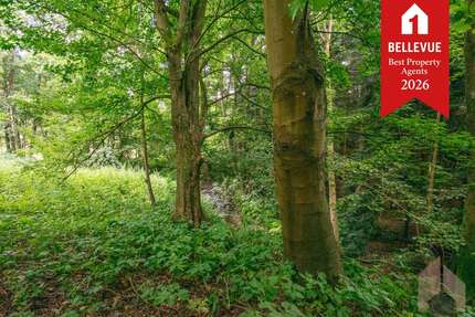 Grundstück zu verkaufen in Eitorf Halft 165.000,00 € 740 m² - Eitorf / Halft