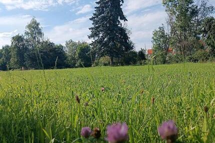 Großgrundstück am Rißufer – teilbar – provisionsfrei - Ingoldingen