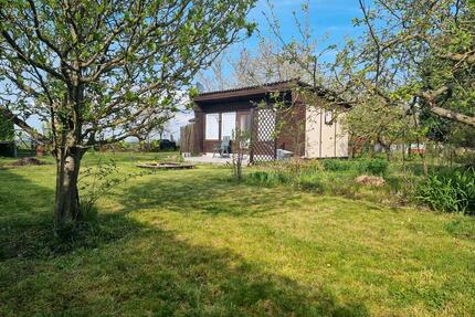 Traumhafter Garten in ruhigem Umfeld - Kabelsketal