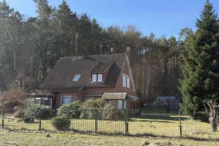 Haus zum Kaufen in Neu Darchau 430.000,00 € 113.1 m²