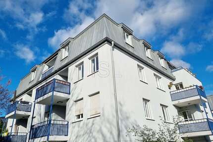 Wohnung zum Kaufen in Dresden 132.000,00 € 51 m²