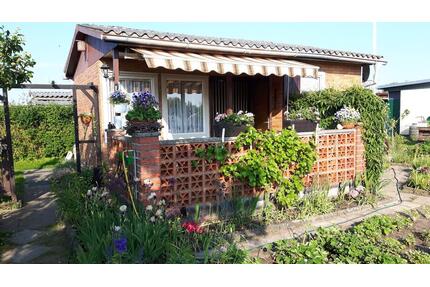 Garten Kleingarten Schrebergarten Stralsund
