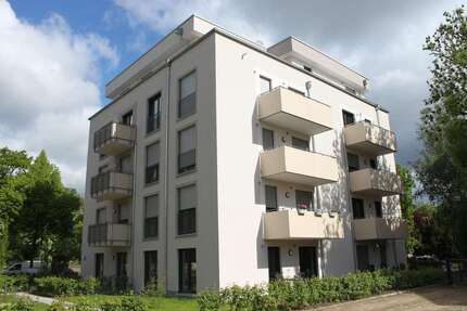 Wohnung zum Mieten in Dresden 600,00 € 50.83 m²