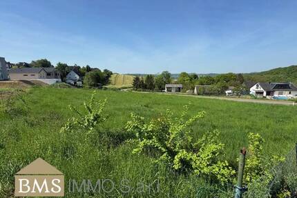 Tolles Baugrundstück in Olk! - 250.000,00&nbsp;EUR Kaufpreis, ca.&nbsp; 0,00&nbsp;m&sup2; in Ralingen (PLZ: 54310) Olk