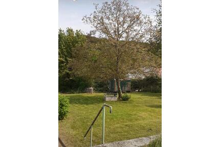 Bauernhaus mit großem Grundstück Grafschaft - Bad Neuenahr-Ahrweiler