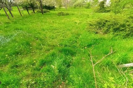 Wiesengrundstücke zu verpachten - Albersweiler