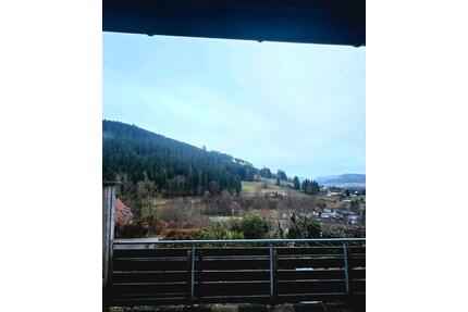 2 Zimmer wohnung mit Einbauküche - Baiersbronn