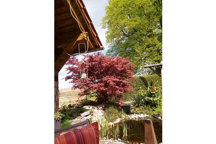 Ferienwohnung - 50,00&nbsp;EUR Kaltmiete, in Pottenstein (PLZ: 91278)