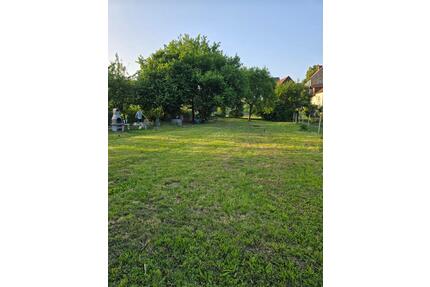 Garten Eckartshausen Werneck 700qm zum Mieten Wasser Grill Zaun - Großrinderfeld