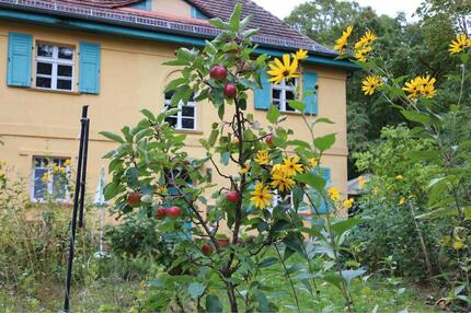 Wohnung, Apartment, möbliert zu vermieten, 30 qm nähe Stechlinsee - Löwenberger Land