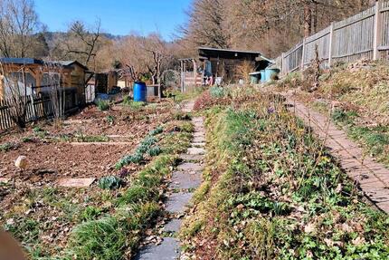KleingartenPachtgarten in Gera, 200m²