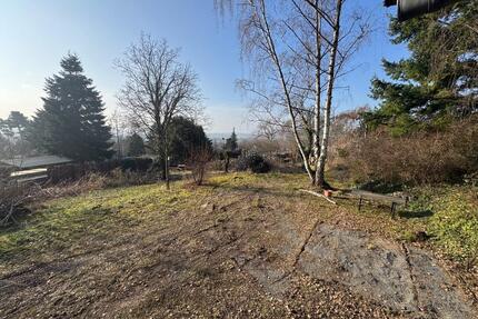 Garten zur Pacht – naturnah & individuell gestaltbar - Wiesbaden Bierstadt