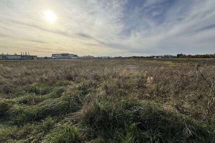 Grundstück in Asbach-Bäumenheim 1.500.000,00 € 30076 m²