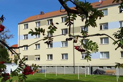 Wohnung zum Mieten in Großröhrsdorf 330,00 € 44.27 m²