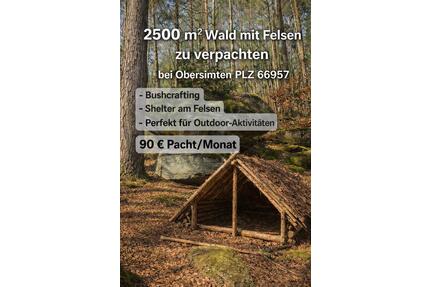 2500m² Wald mit Felsen – BushcraftOutdoor – nur 85€Monat - Ruppertsweiler