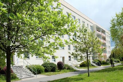 Voll ausgestattete Gästewohnung in Kirchberg: Ankommen - Wohlfühlen !