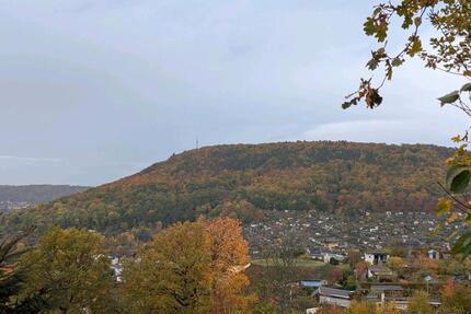 Garten mit bestem Ausblick über Freital