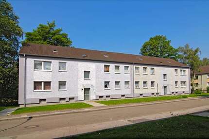 Wohnung zum Mieten in Recklinghausen 299,10 € 60 m²