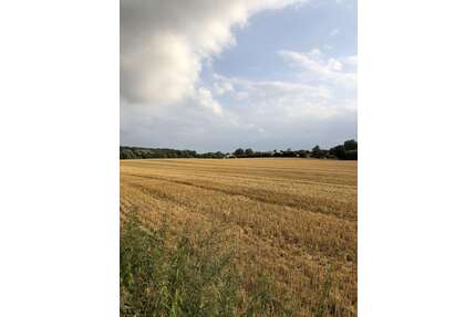 Haus zum Kaufen in Wentorf AS (Amt Sandesneben) 795.000,00 € 374 m²