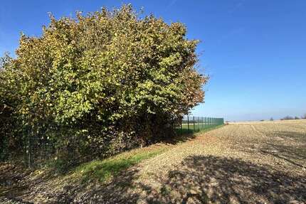 Grundstück in Billerbeck 172.500,00 € 10854 m²