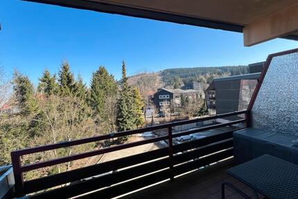 Top Apartment in Hahnenklee 500€ warm - Goslar