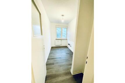 ab 01.06.2026 - 1 Raum Wohnung inkl. Küche hell sehr ruhige Lage - Greifswald