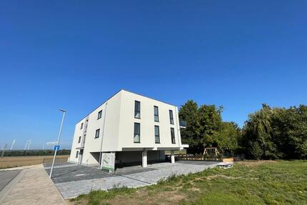 Wohnung zu vermieten - 1.323,00&nbsp;EUR Kaltmiete, ca.&nbsp; 94,51&nbsp;m&sup2; in Armsheim (PLZ: 55288)