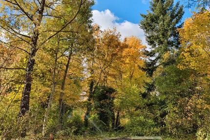ruhig und sonnig gelegenes Einfamilienhaus mit großem Garten - Albstadt Gemarkung Onstmettingen