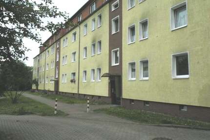 Wohnung zum Mieten in Stralsund 413,14 € 59.02 m²