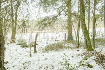 Grundstück zu verkaufen in Rade 245.000,00 € 2564 m²