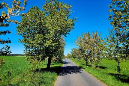 Achtung: 98km Südwestlich v Mitte: herrliches Leben auf dem Land - Berlin