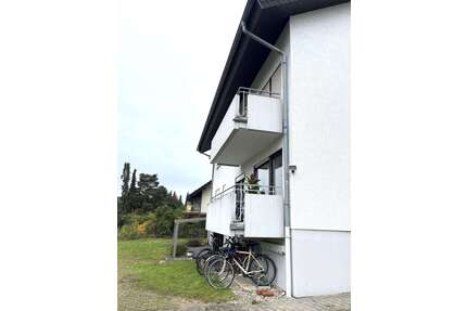 Wohnung zum Kaufen in Sandhausen 205.000,00 € 53 m²