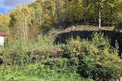 Sandbach - Sonniges Grundstück am Waldrand - auch MFH möglich - Breuberg / Sandbach