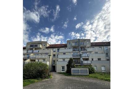 +++ Schöne 3-Raumwohnung im grünen von Leipzig +++