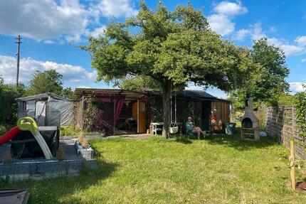 Schöner Kleingarten Schrebergarten am Hegelsberg abzugeben - Kassel Philippinenhof-Warteberg