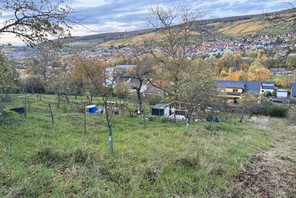 Garten Freizeitgrundstück im Grünen mit Gartenhaus - Remshalden