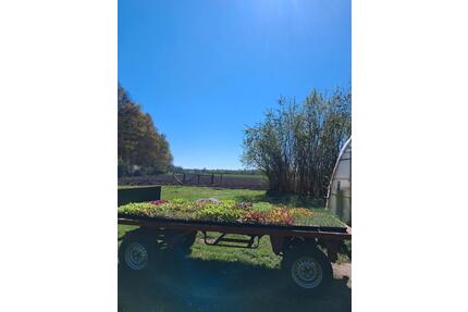 Saisongärten Schäferhof Appen Ackerparzelle mieten