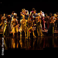 Cirque du Soleil OVO | Salzburg